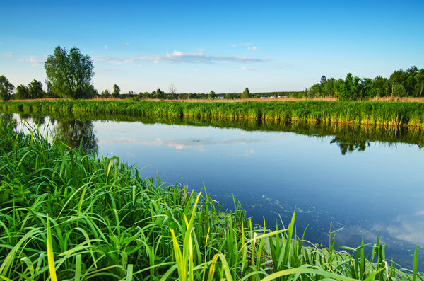 Rural summer landscape with river