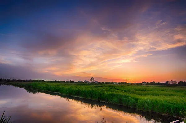 農村夏の夕日 — ストック写真