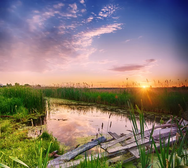 Сельский летний восход солнца — стоковое фото
