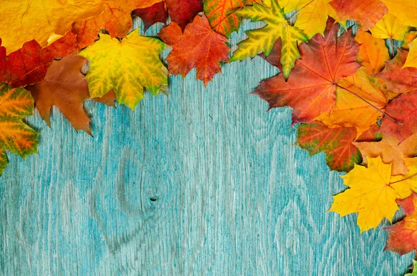 Jesienią ramki — Zdjęcie stockowe
