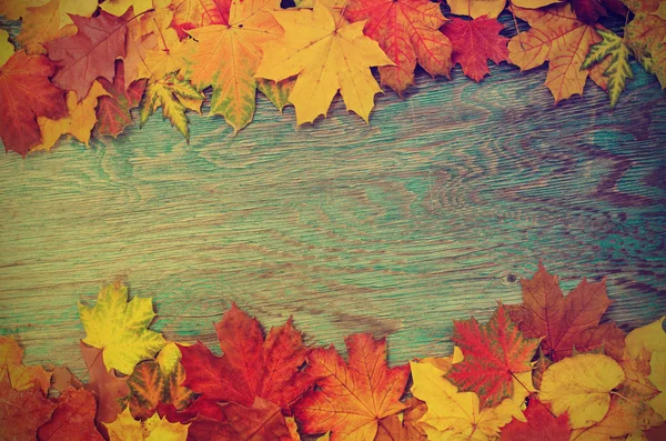 Marco de otoño — Foto de Stock
