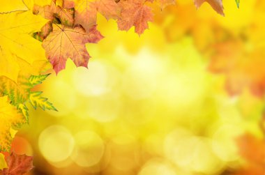 Sonbahar yaprakları çerçevesi