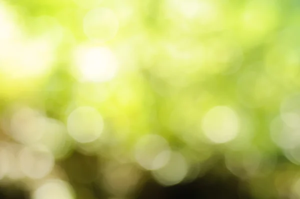 Natural bokeh — Stock Photo, Image