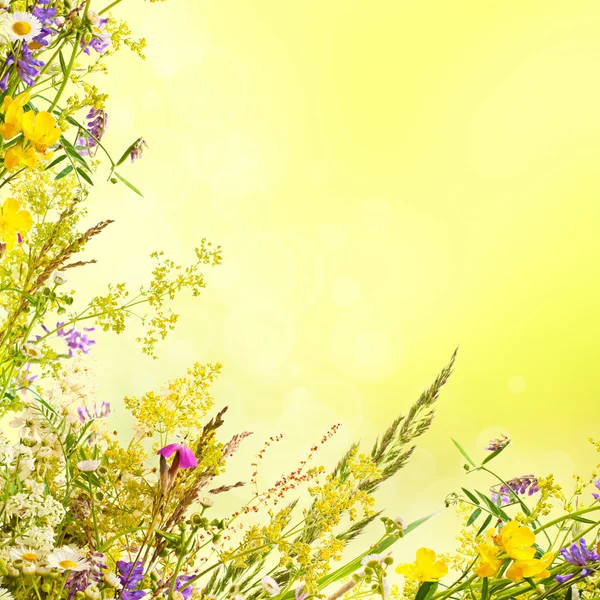 花のイースターの背景 — ストック写真