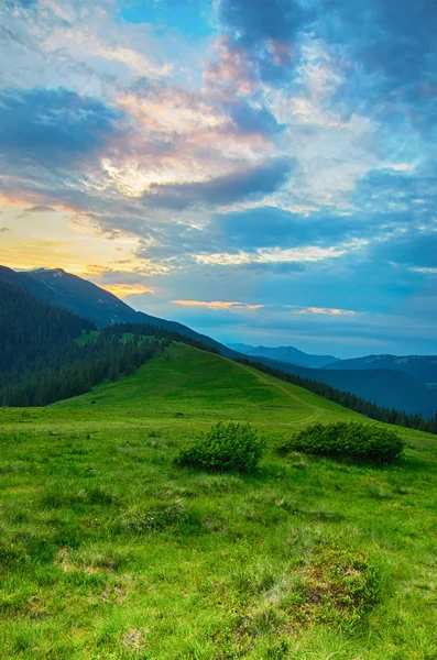 Paisaje montañoso Cárpatos — Foto de Stock