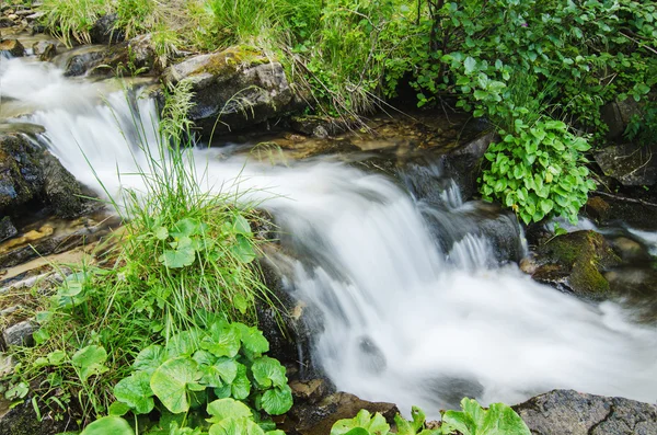 Corrente di montagna — Foto Stock