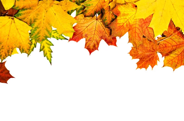 Foglie d'autunno telaio — Foto Stock