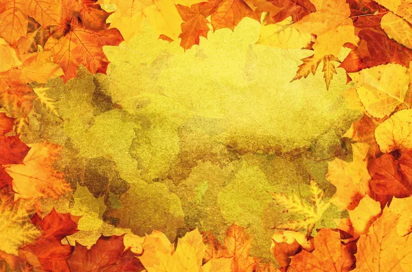 Foglie d'autunno telaio — Foto Stock