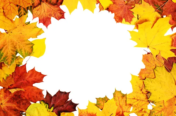 Autumn leaves frame — Stock Photo, Image