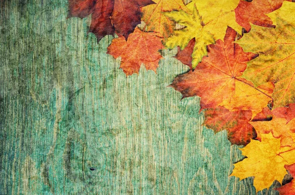 Höstens ram — Stockfoto