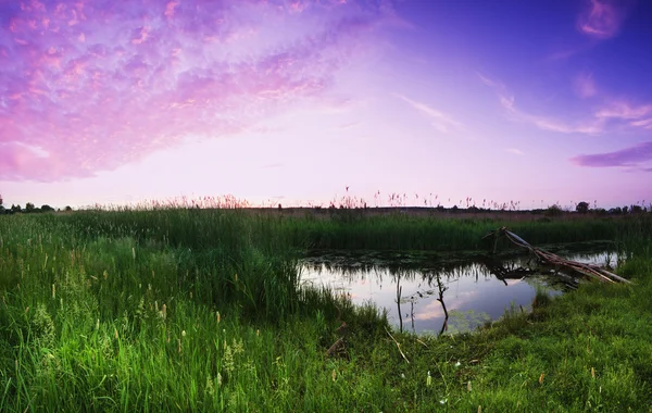 Kesän auringonnousu maaseudulla — kuvapankkivalokuva
