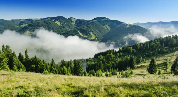 Mlhavá ranní krajina — Stock fotografie