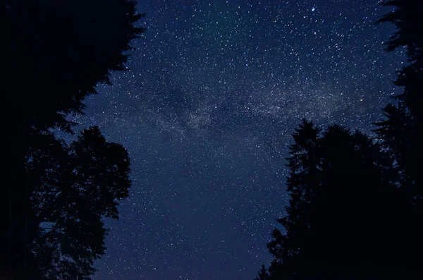Зоряне небо — стокове фото