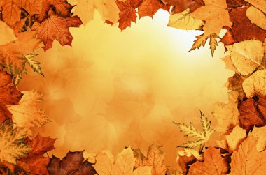 Sonbahar yaprakları çerçevesi
