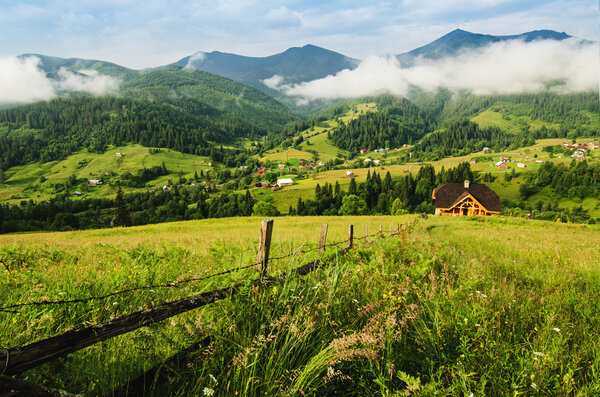 Carpathian mountain landscape with tree