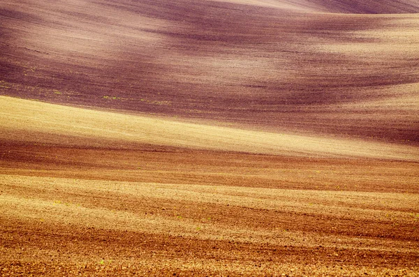 Jordnära Abstrakt Naturlig Jordbruksbakgrund Med Kullar Och Vågor — Stockfoto