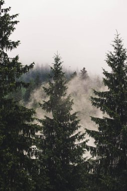 Sisli dağ manzarası