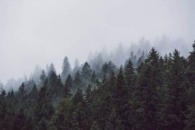 Sisli dağ manzarası