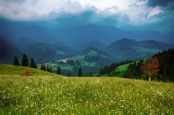 Karpaten berglandschap — Stockfoto