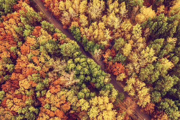 Осенний лес сверху — стоковое фото