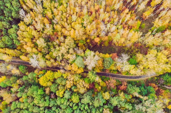 Осенний лес сверху — стоковое фото