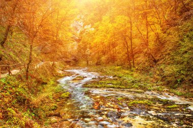 Vintgar Vadisi, Slovenya