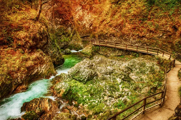 Gola di Vintgar, Slovenia — Foto Stock