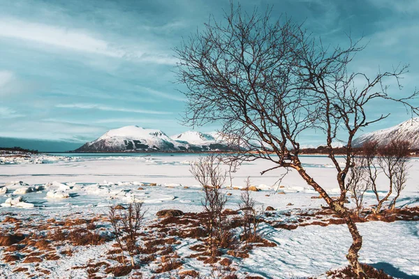 冬のノルウェーの風景 — ストック写真