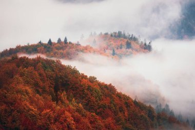 Sisli dağ manzarası