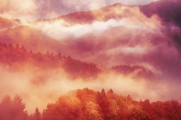 多雾的山景 — 图库照片