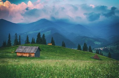 Karpatya dağ manzarası