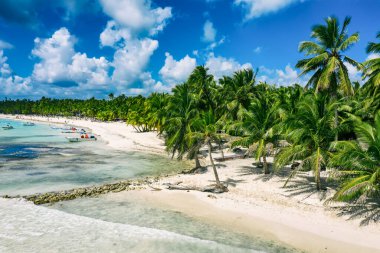 Tropik Karayip Sahili