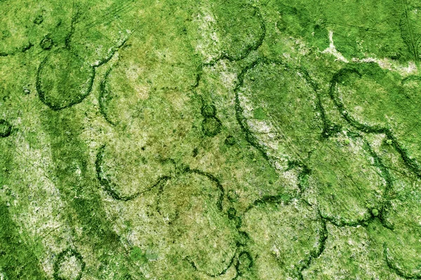 Green fields from above — Stock Photo, Image