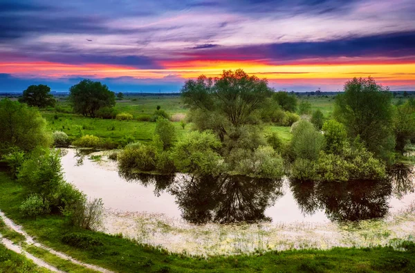 Kırsal yaz günbatımı — Stok fotoğraf