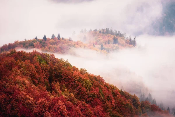 多雾的山景 — 图库照片