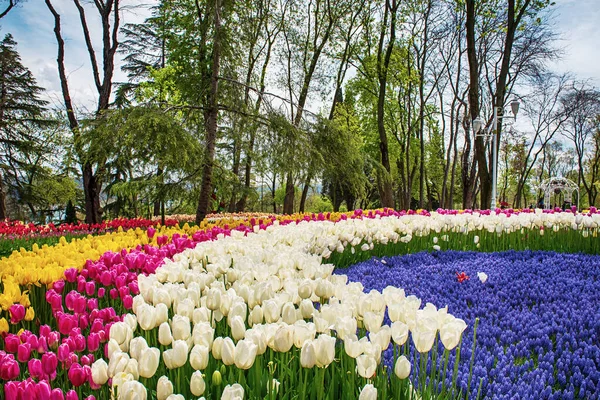 stock image Emirgan Park, Istanbul