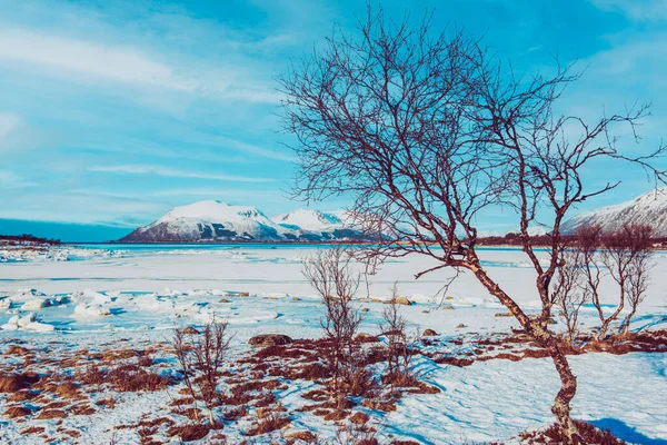 冬のノルウェーの風景 — ストック写真