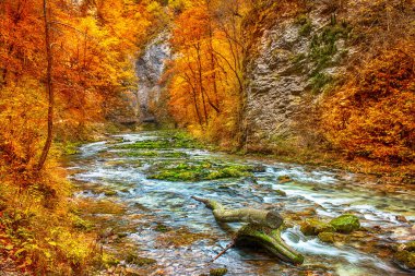 Vintgar Vadisi, Slovenya