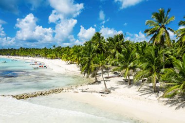 Tropik Karayip Sahili