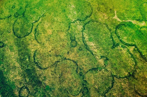 Campos verdes de cima — Fotografia de Stock