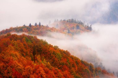 Sisli dağ manzarası