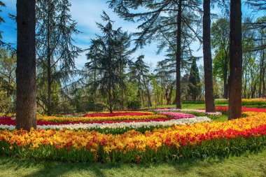 Emirgan Parkı, İstanbul