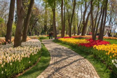 Emirgan Parkı, İstanbul