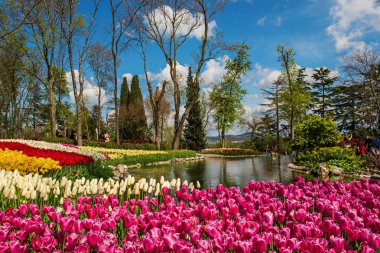 Emirgan Parkı, İstanbul