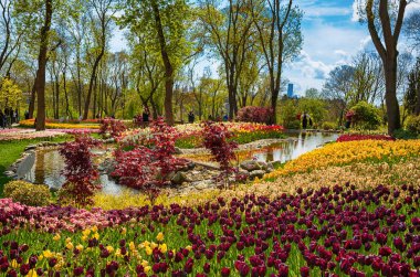Emirgan Parkı, İstanbul