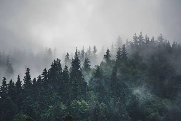 Paesaggio di montagna nebbioso — Foto Stock