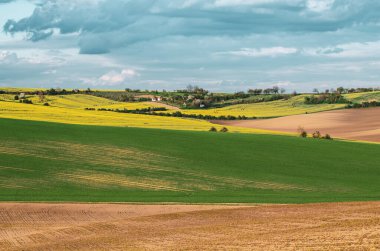 Kırsal ilkbahar manzarası