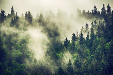 Sisli dağ manzarası