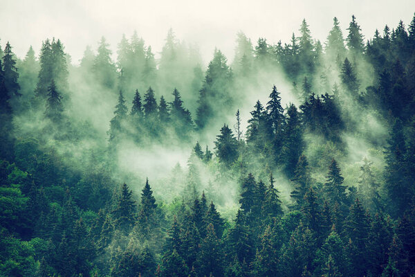 Misty mountain landscape