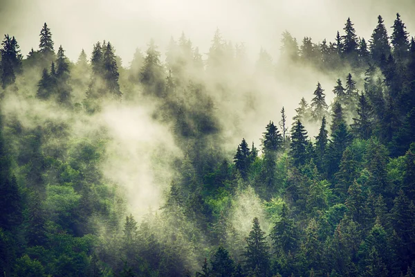 Misty paisaje de montaña — Foto de Stock